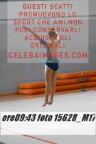 15628_M17-
