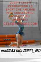 15633_M17-