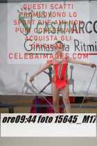 15645_M17-