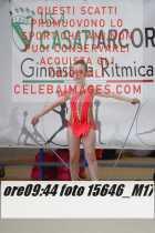15646_M17-