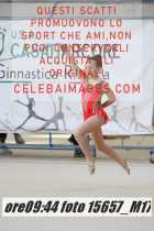 15657_M17-
