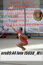 15658_M17-