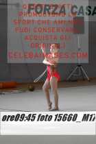 15660_M17-