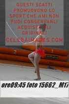 15662_M17-