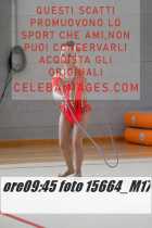 15664_M17-