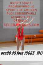 15665_M17-