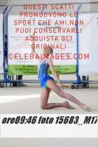 15683_M17-