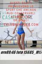 15685_M17-
