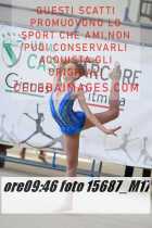 15687_M17-