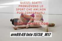 15730_M17-