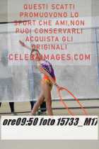 15733_M17-