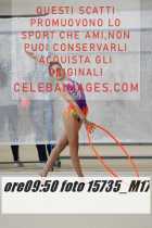 15735_M17-