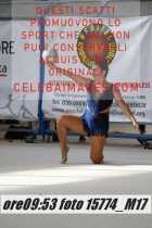 15774_M17-