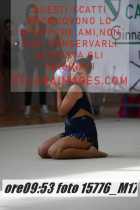 15776_M17-