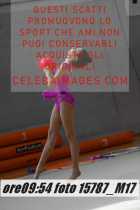 15787_M17-