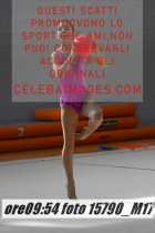 15790_M17-