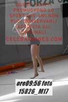 15826_M17-
