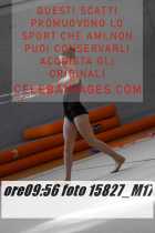 15827_M17-