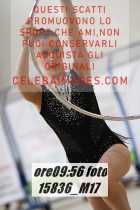 15836_M17-