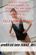 15843_M17-