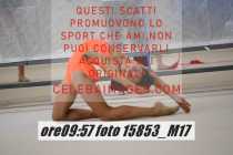 15853_M17-