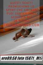 15871_M17-