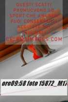 15872_M17-