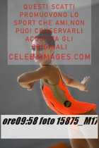 15875_M17-
