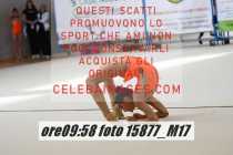 15877_M17-