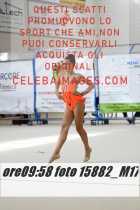 15882_M17-