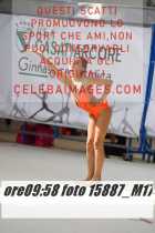 15887_M17-