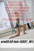 15897_M17-