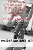 15956_M17-