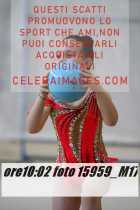 15959_M17-