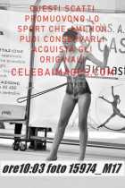 15974_M17-