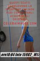 15982_M17-