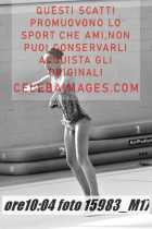 15983_M17-