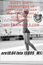 15999_M17-
