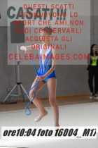 16004_M17-