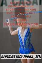 16005_M17-