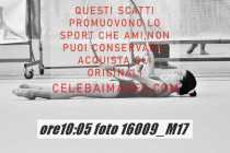16009_M17-