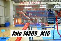 14309_M16