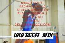 14331_M16