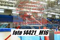 14421_M16