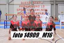 14909_M16