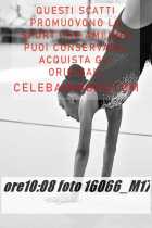 16066_M17-