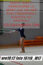 16110_M17-