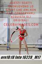 16228_M17-