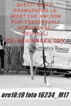 16234_M17-