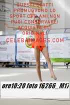 16266_M17-
